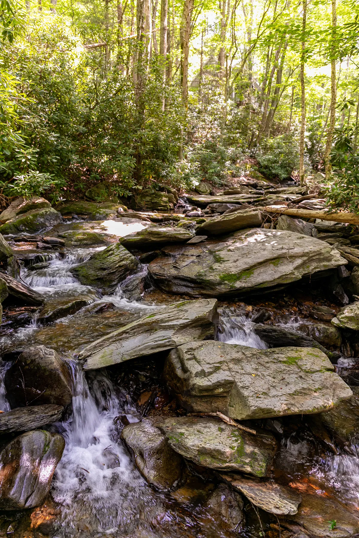 A tranquil view of a rushing stream bordered by smooth stones and lush green foliage. The water reflects the dappled sunlight, with mossy rocks and dense forest creating a secluded, peaceful atmosphere—perfect for romantic strolls, relaxation, or quiet connection with nature.
