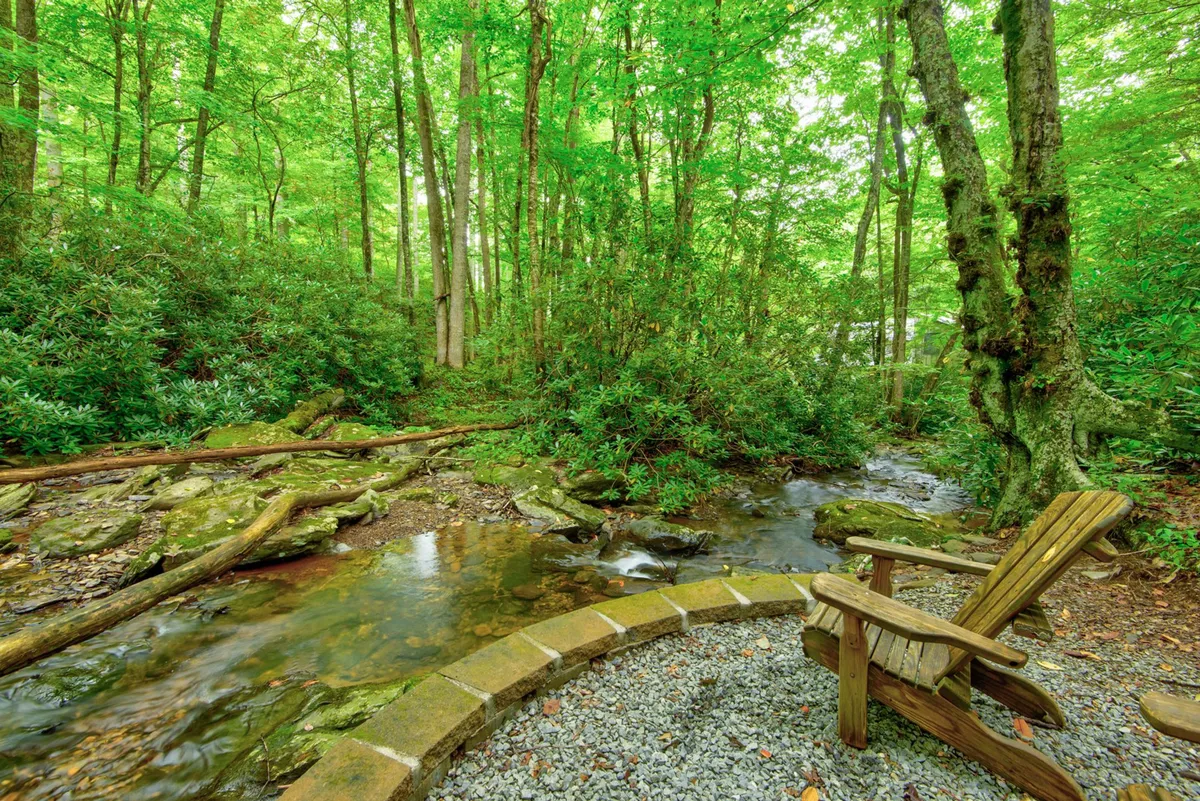 This image features a tranquil stream bordered by lush greenery and a wooden chair positioned perfectly for enjoying the soothing natural surroundings. The scene exudes serenity, with dappled sunlight filtering through the trees and an inviting spot to relax, birdwatch, or simply take in the peaceful sounds of water and wildlife.