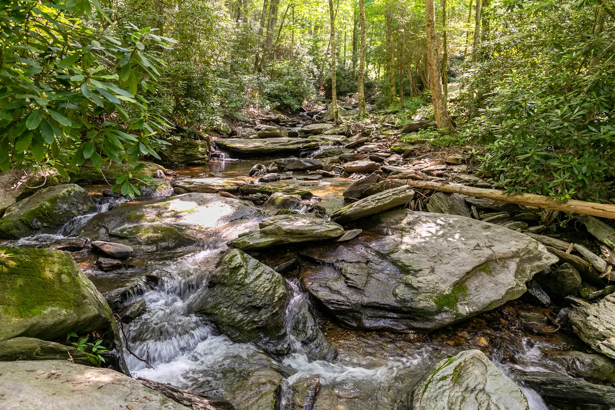 A picturesque view of a flowing stream bordered by smooth stones and lush, vibrant greenery, creating an inviting natural environment. The scene hints at opportunities for hiking, wildlife spotting, and serene moments by the water.