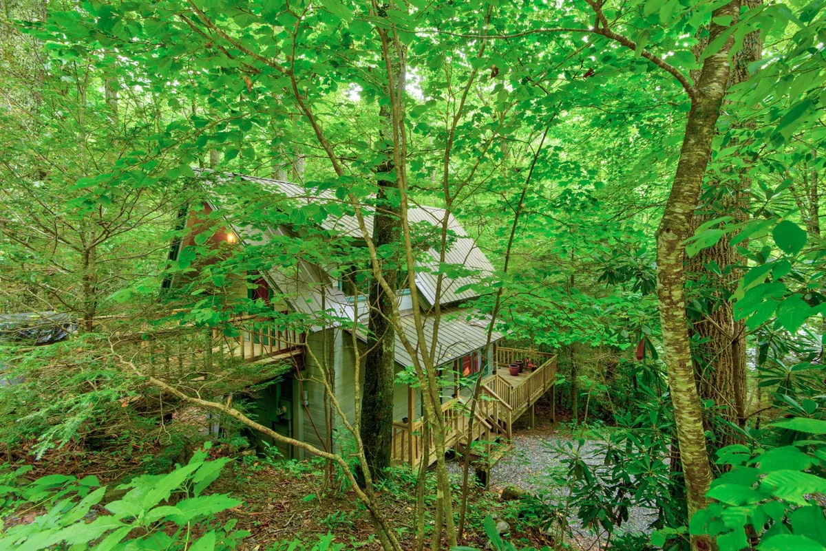 This exterior shot captures The Dog House cabin nestled amidst tall trees, with a spacious deck area visible. The setting looks tranquil and inviting, surrounded by nature, and hints at plenty of outdoor opportunities for relaxation and play. The image evokes a sense of privacy while being close to nature.