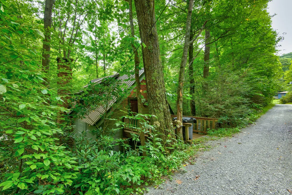 A wide view of the rustic house nestled among towering trees, with a gravel pathway leading towards the woods. The setting is calm and enveloped in nature, hinting at the trails and outdoor exploration opportunities that begin right at the doorstep.